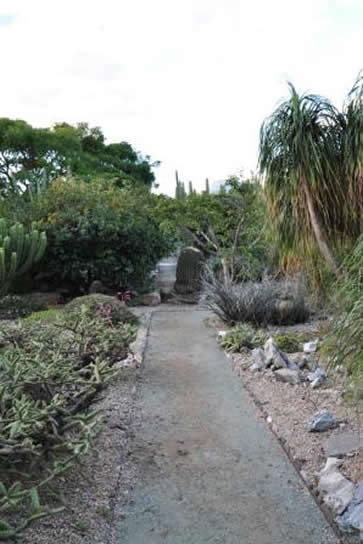 Les couloirs du jardin ethnobotanique de Oaxaca avec ses nombreuses plantes dont les cactus, Mexique