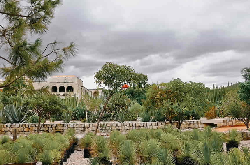 Le jardin ethnobotanique de Oaxaca de Juarez, Oaxaca, Mexique
