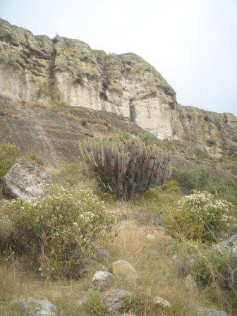 Falaise abritant la grotte de la lettre de Xaaga, Oaxaca, Mexique
