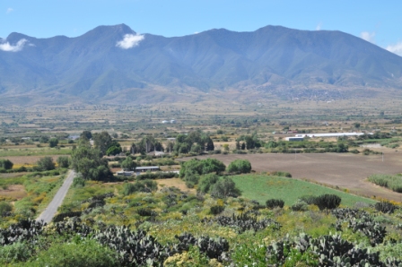 La vallée de Tlacolula prise depuis le site Zapotèque de Yagul, Oaxaca, Mexique