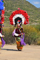 Danse de la plume, typique des représentations de la Guelaguetza en juillet à Oaxaca de Juarez, Mexique