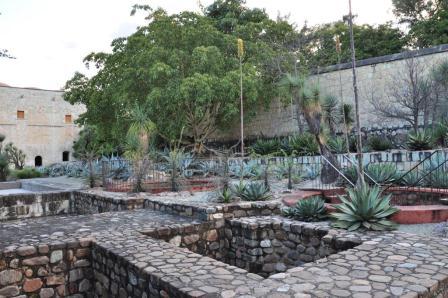 Les allées du jardin ethnobotanique de Oaxaca, Mexique