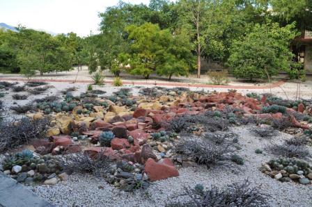 Le secteur de climat desertique du jardin ethnobotanique de Oaxaca, Mexique
