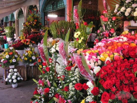 Etal de fleurs dans un marché de Oaxaca, Mexique