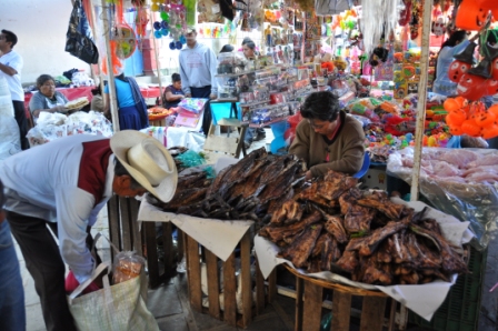 Le marché d’Ocotlan de Morelos, vendeur de poisson seché