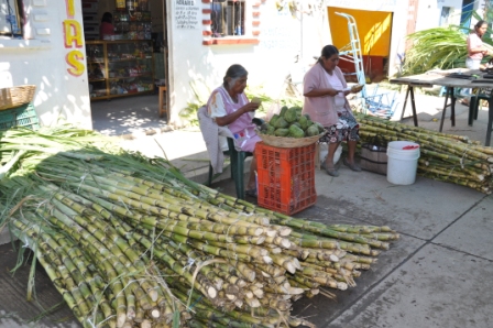 Le marché d’Ocotlan de Morelos, vendeur de cannes à sucre