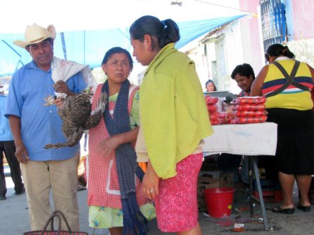 Le marché d’Ocotlan de Morelos