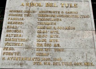 Données inscrites à l’entrée du parvis de l’eglise ou se trouve l’arbre millénaire du Tule, Oaxaca, Mexique