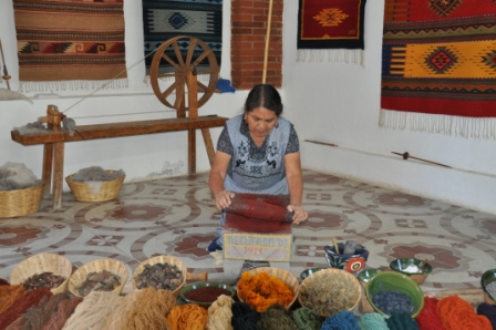 La cochenille utilisée pour la couleur rouge des tapis de Teotitlan Del Valle, Oaxaca, Mexique