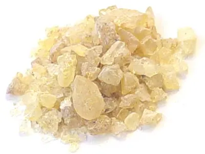 L’encens fait avec la sève du copal