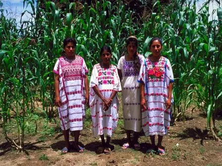 Indigènes, Oaxaca, Mexique