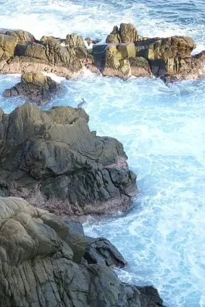 Mazunte, Oaxaca, Mexique