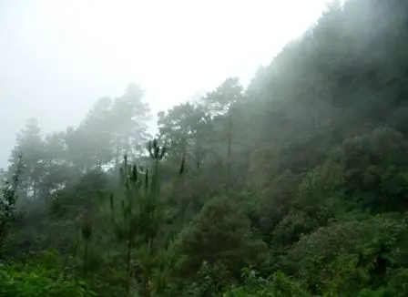 Paysage de la Sierra Sur, Oaxaca, Mexique
