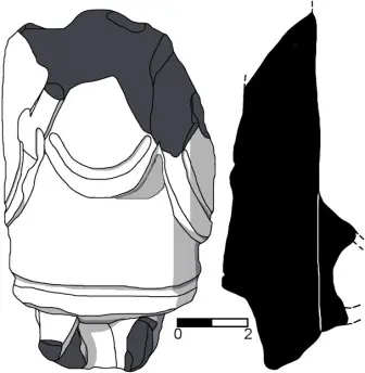Dessin et coupe réalisés en laboratoire du corps d’une figurine Zapotèque de phase Xoo