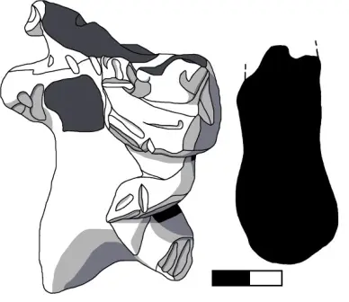 Dessin et coupe réalisés en laboratoire d’une figurine Zapotèque de phase Pe portant un enfant