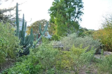 Le jardin ethnobotanique de Oaxaca, Mexique