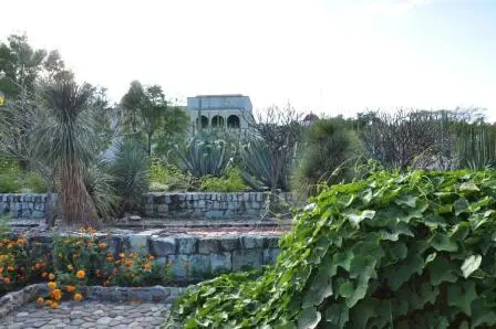 Le jardin ethnobotanique de Oaxaca, Mexique