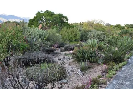 Le jardin ethnobotanique de Oaxaca, Mexique
