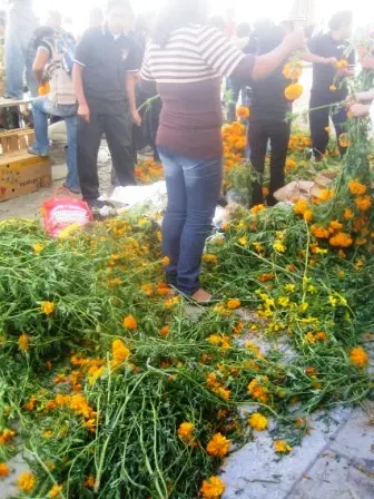 Démonstration d’autels par les étudiants de la UABJO dans la rue d’Alcalá de Oaxaca, Mexique