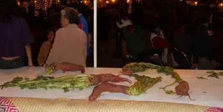Les radis à sculpter pour la Nuit des Radis de Oaxaca, Mexique