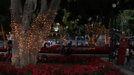 Le Zócalo de Oaxaca à Noël, Mexique
