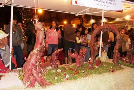 Scène en radis pour la Nuit des Radis de Oaxaca, Mexique