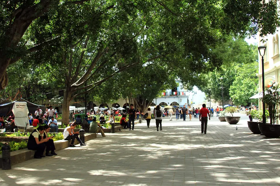 Le zocalo de Oaxaca de Juárez, Mexique