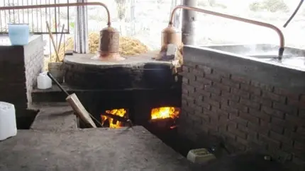L’alambic à Mezcal, Oaxaca, Mexique