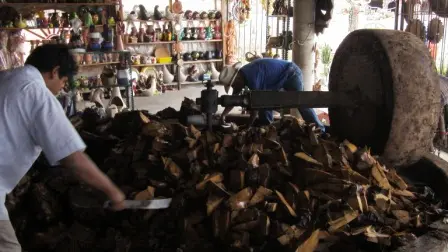 Cœur d’agave broyé au pressoir traditionnel