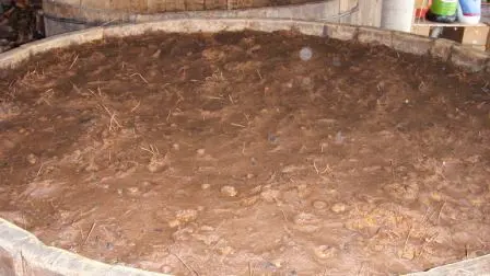 La mélasse du Mezcal fermentant
