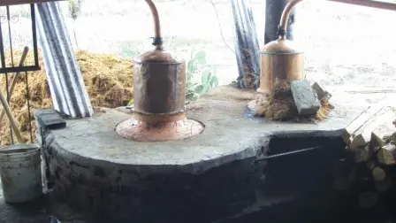L’alambic à Mezcal, Oaxaca, Mexique