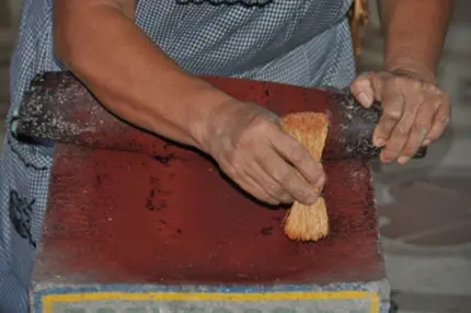 La cochenille utilisée pour la couleur rouge des tapis de Teotitlan del Valle, Oaxaca, Mexique