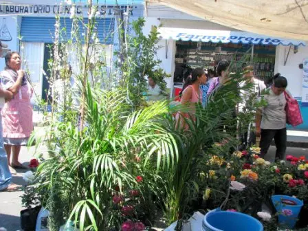 Le marché local de Villa de Zaachila, Oaxaca Mexique